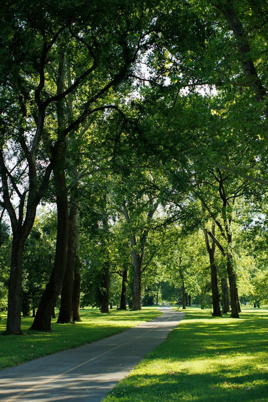 A lush green park with manicured lawn and flower beds